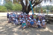 Passeio Badoca Safari Park 
