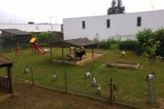 Passeio ao Parque Biológico da Lousã