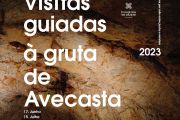 Visitas à Gruta de Avecasta