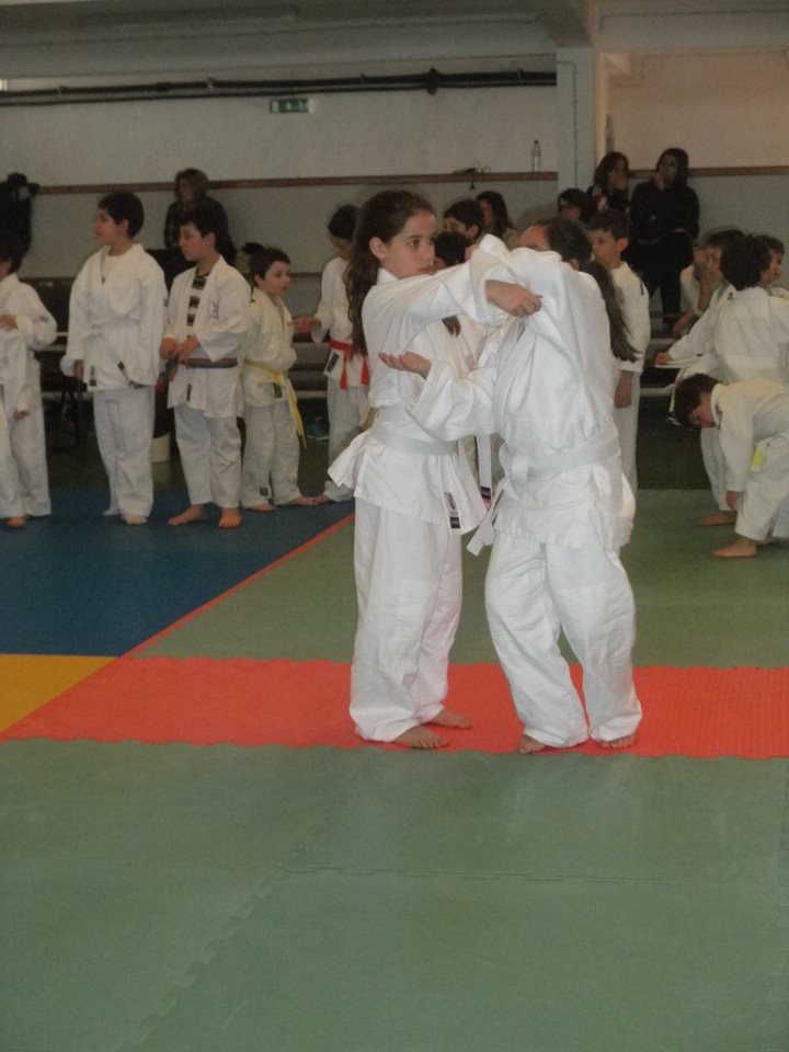 3judo3