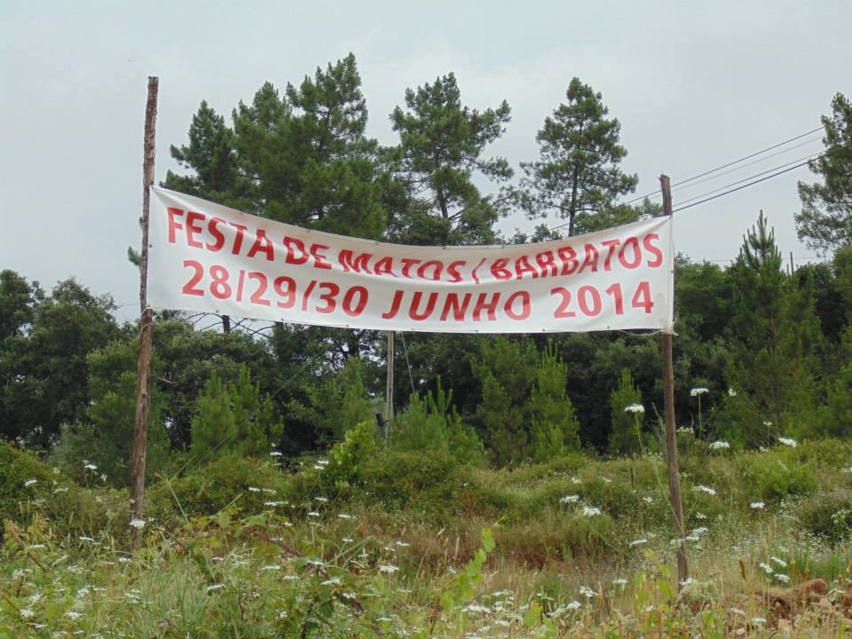 festamatos2