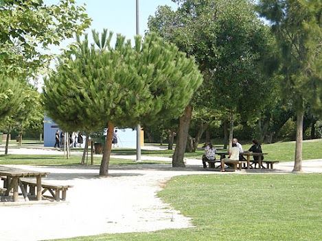 passeioaveiro3