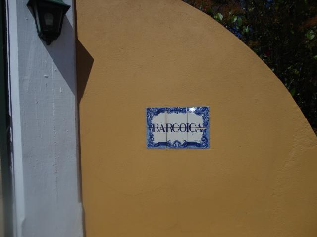 barcoica4