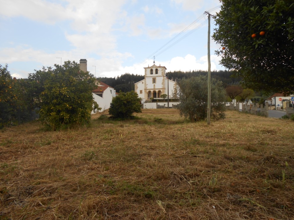 terreno2