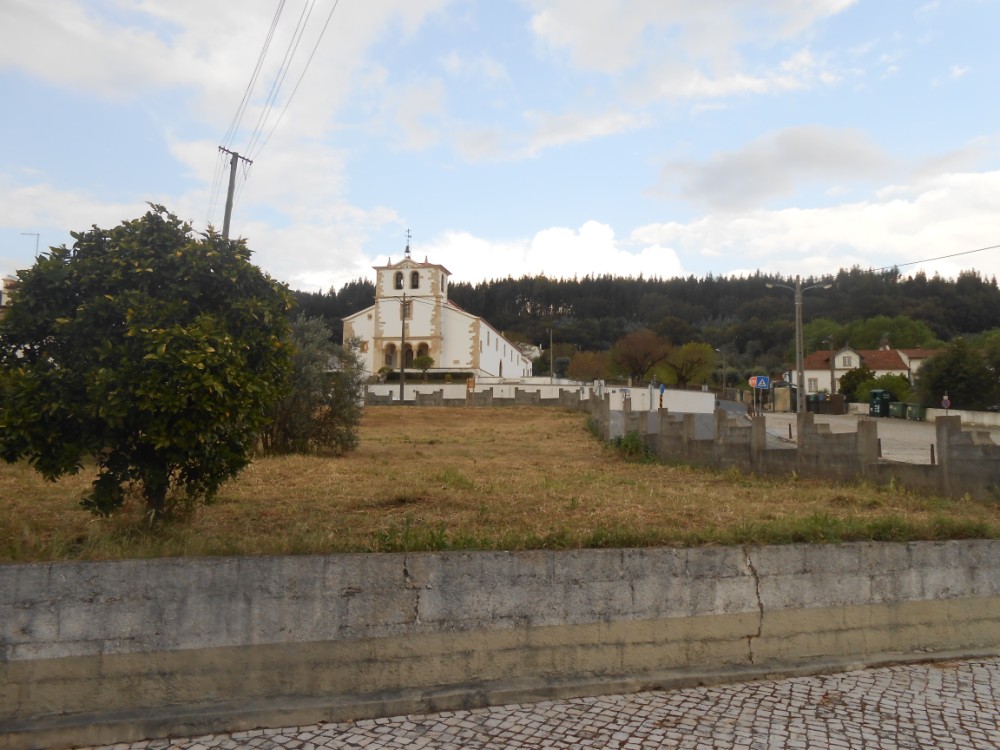 terreno6