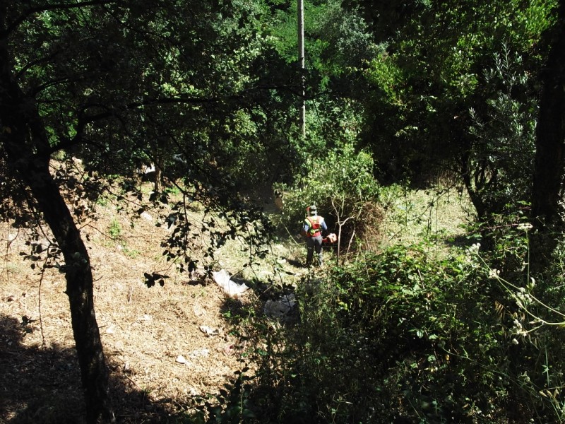lterrenos2