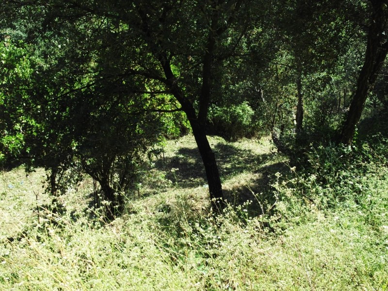 lterrenos3