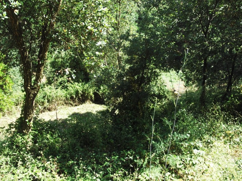 lterrenos6