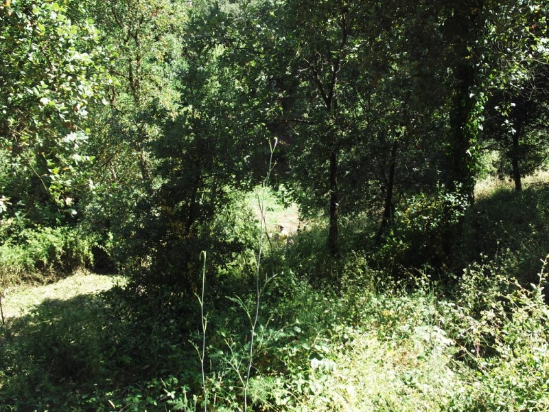 lterrenos7
