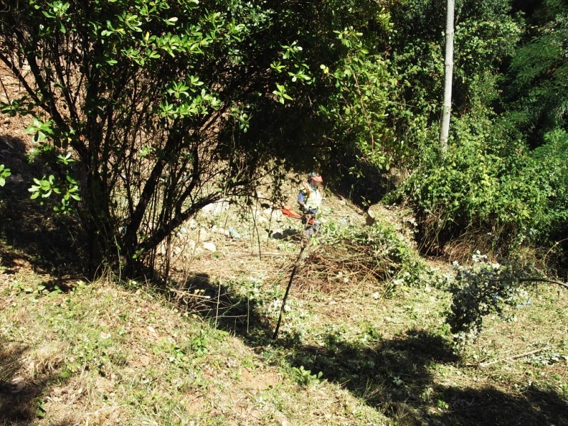 lterrenos8