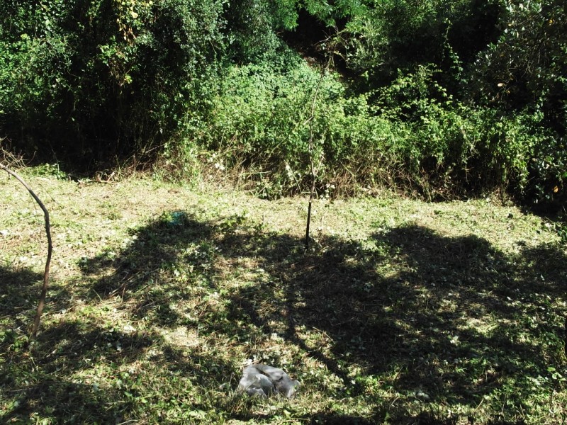 lterrenos9