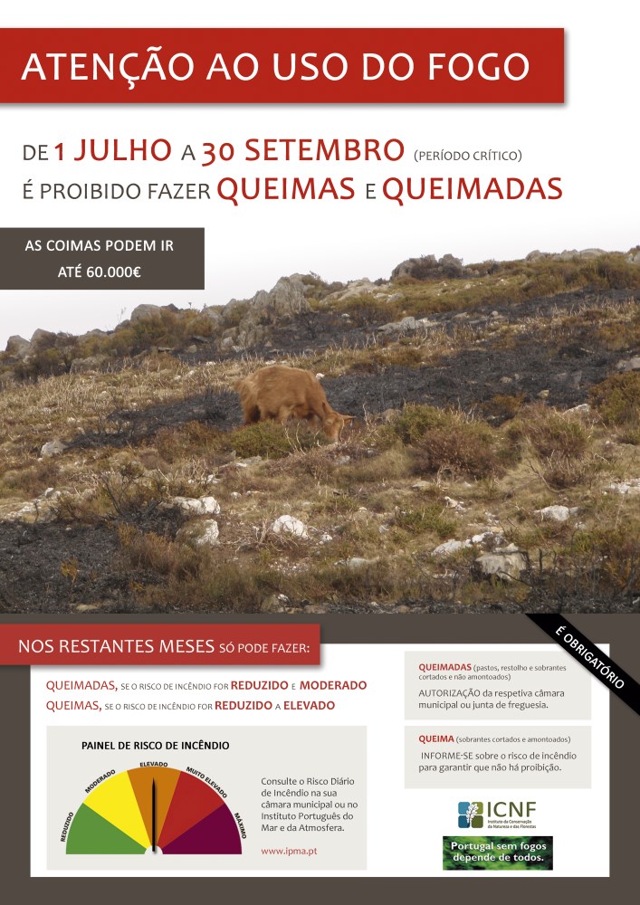 queimas2