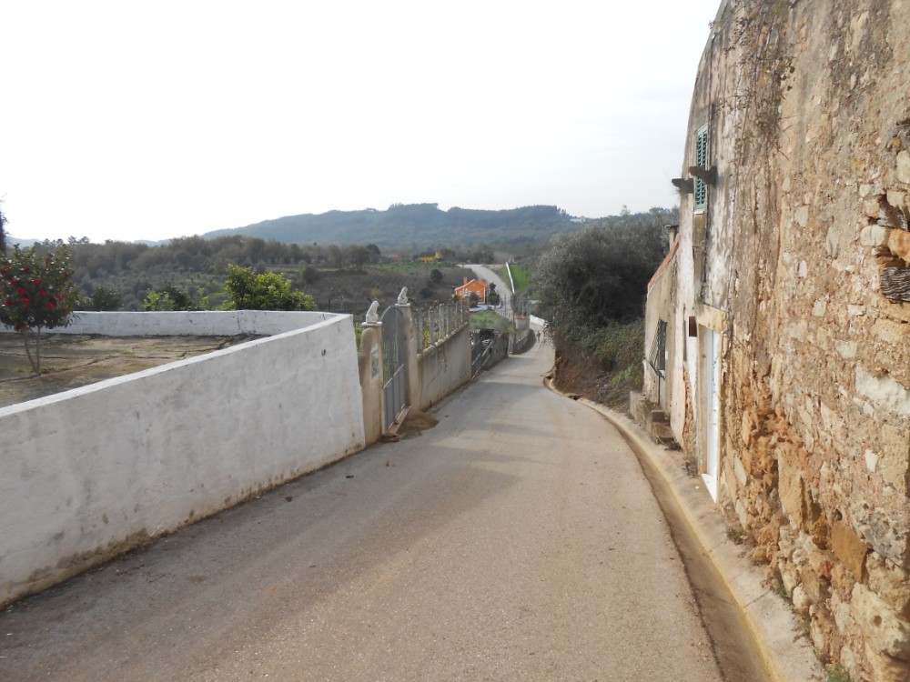 gontijas11
