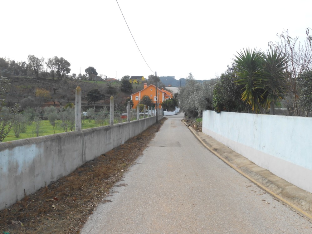 gontijas12