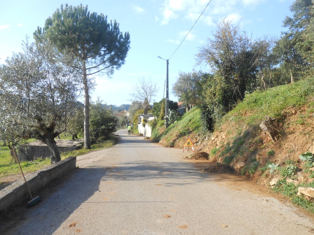 gontijas13