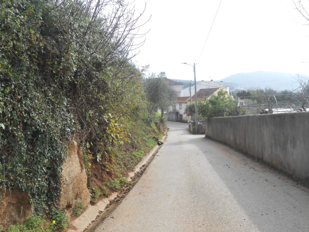 gontijas4