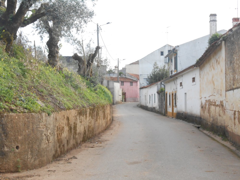 gontijas5