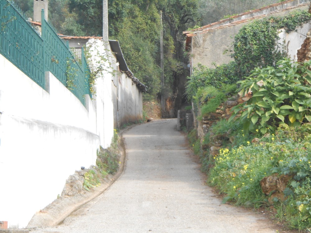 gontijas6