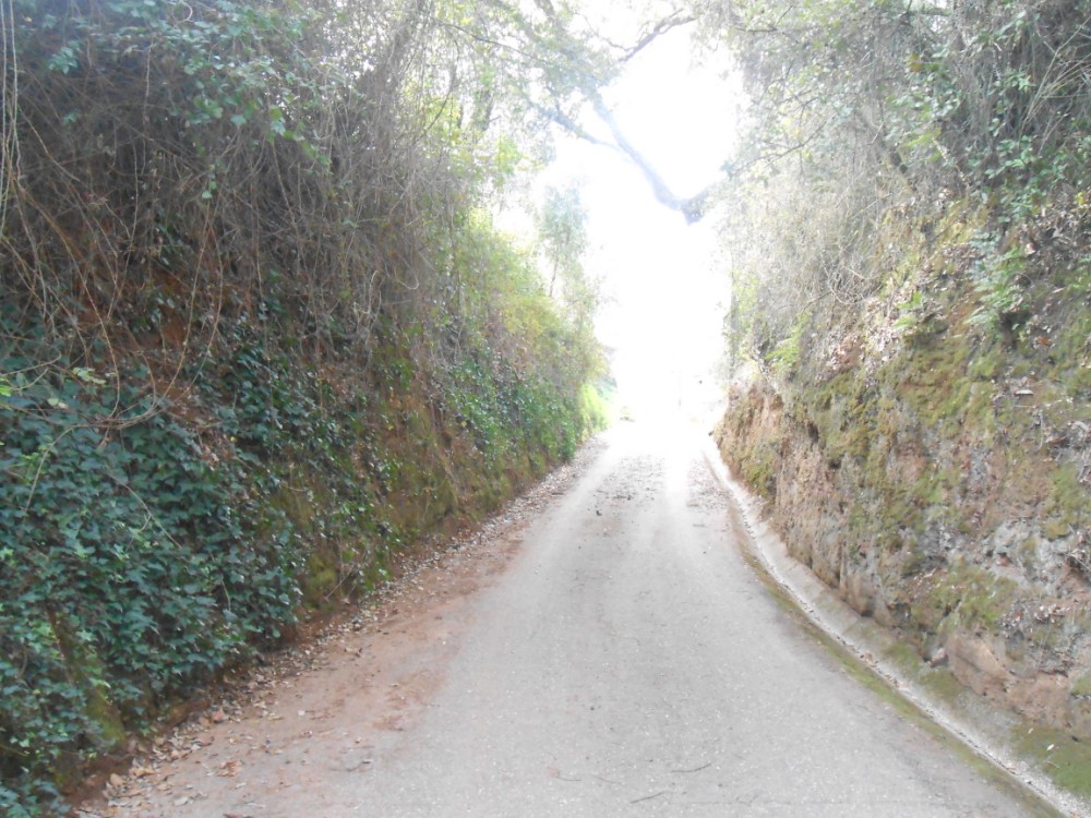 gontijas8