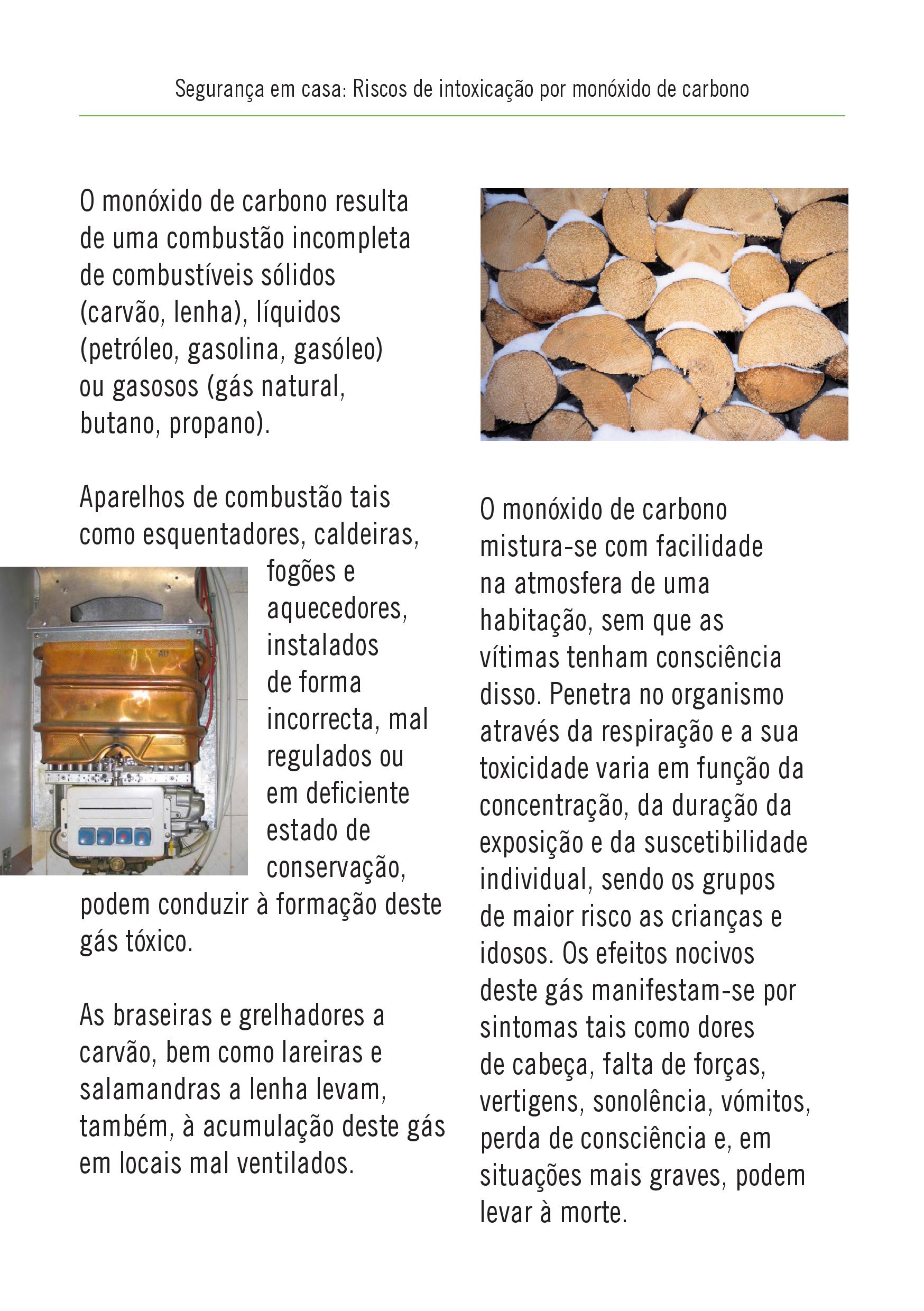 mcarbono4