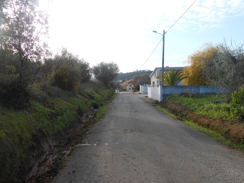 pinheiro2