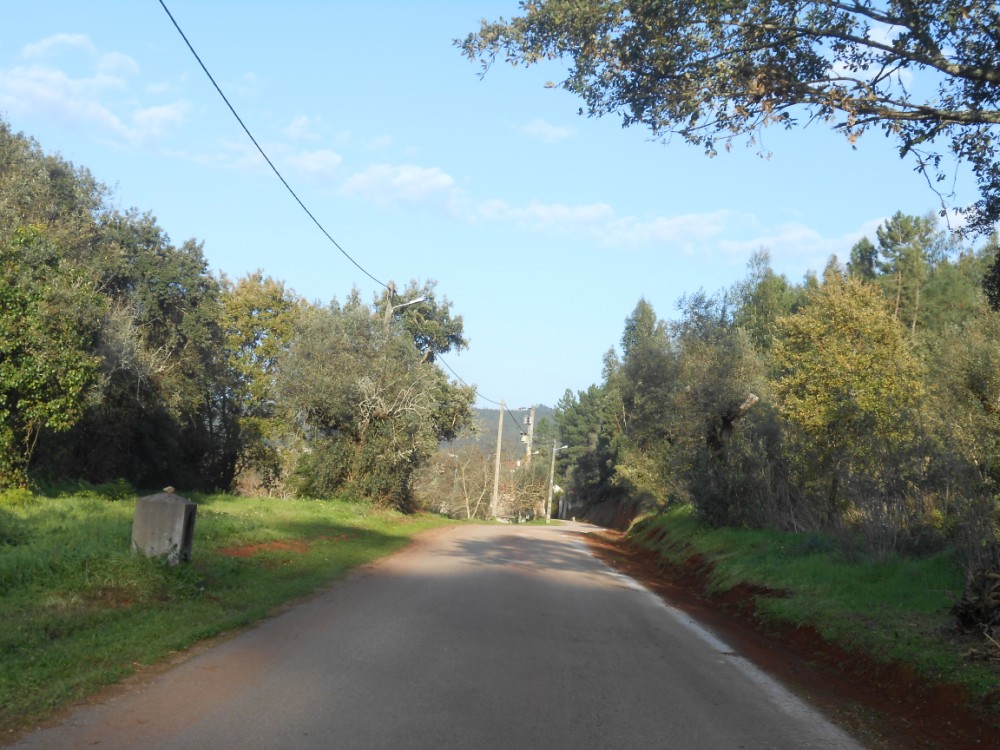 pinheiro5