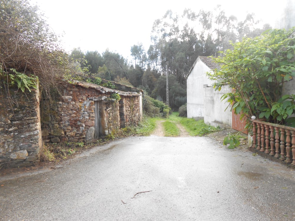 agagos10