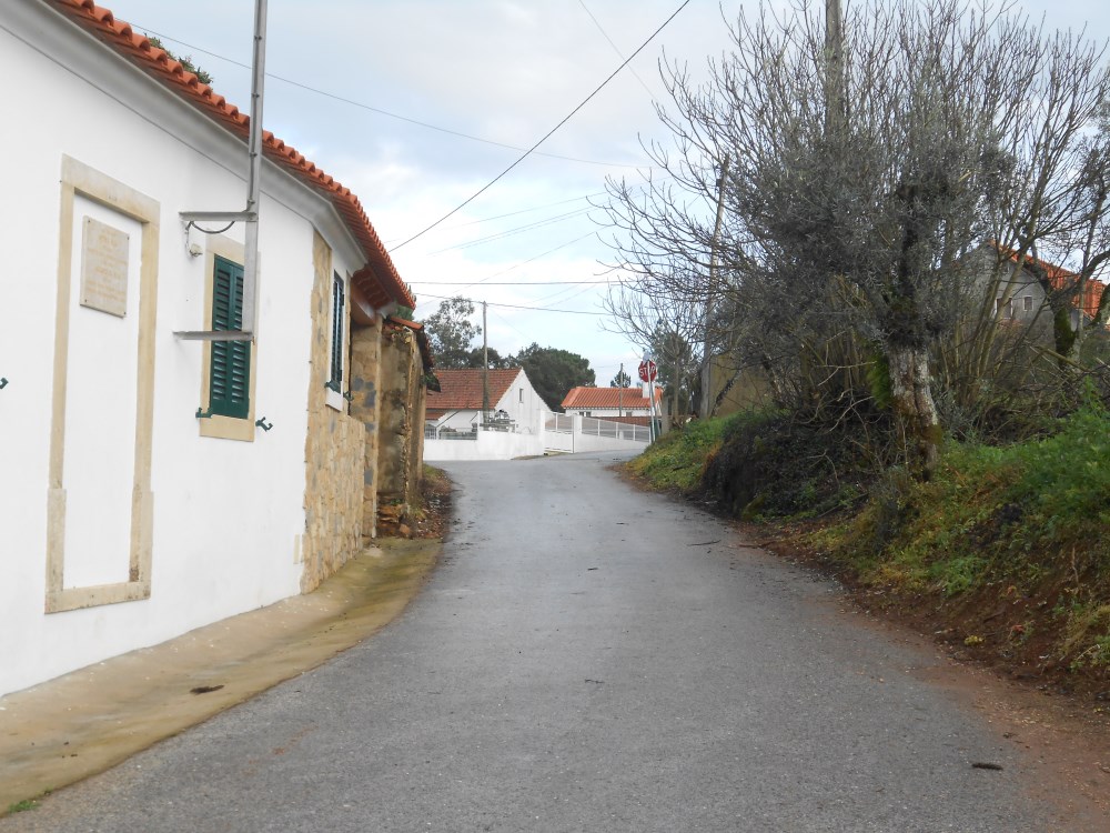 agagos15