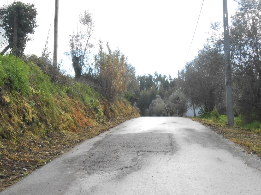 agagos16