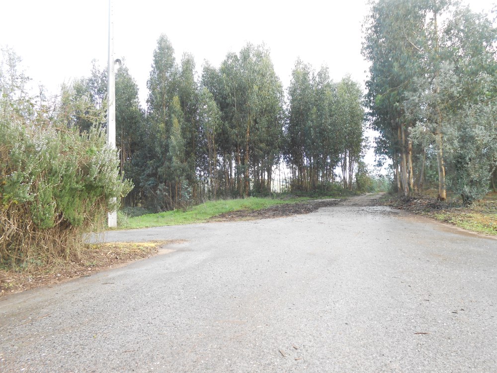 agagos18