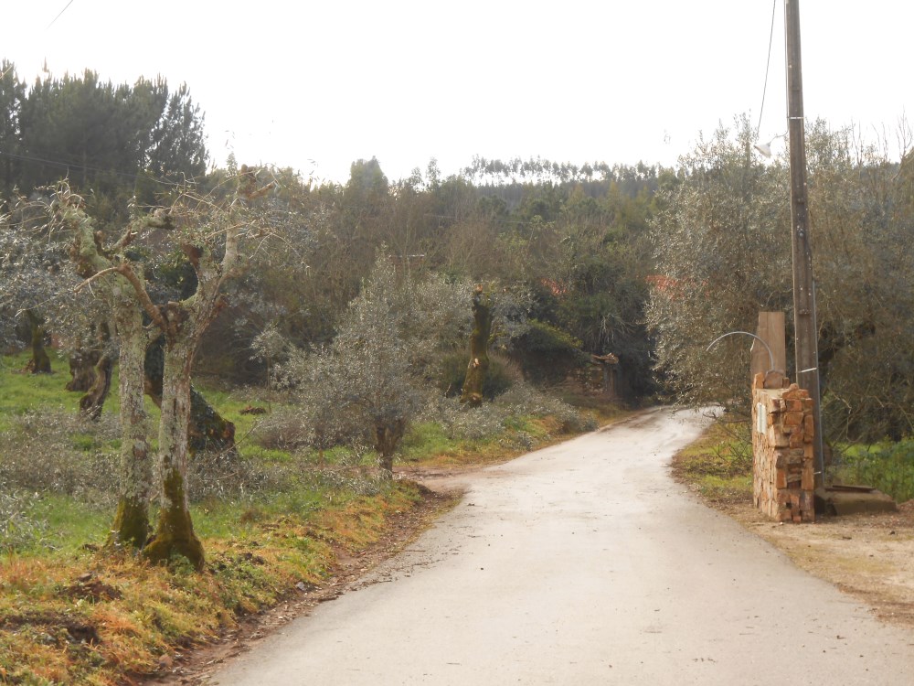agagos19