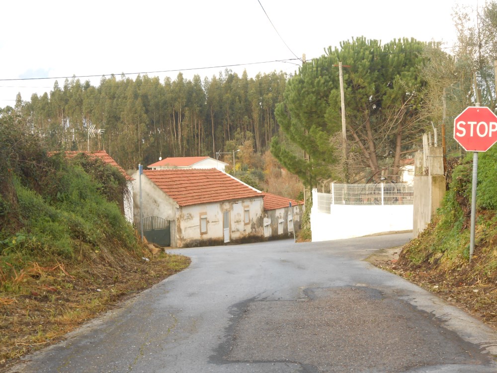 agagos22