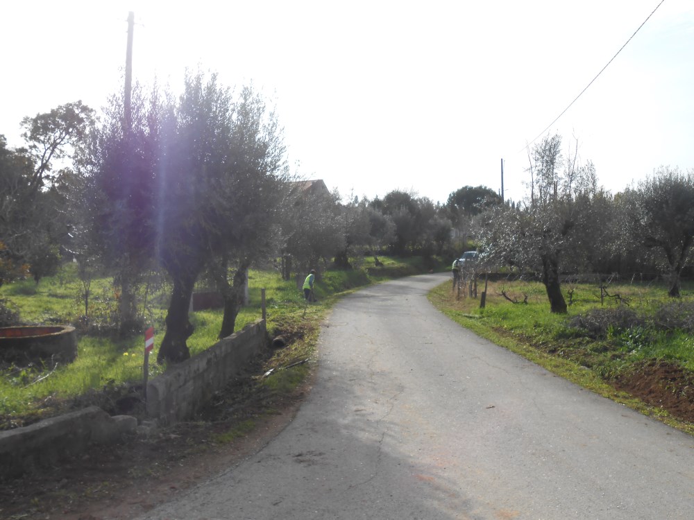 agagos6
