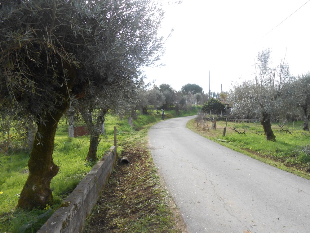 agagos8