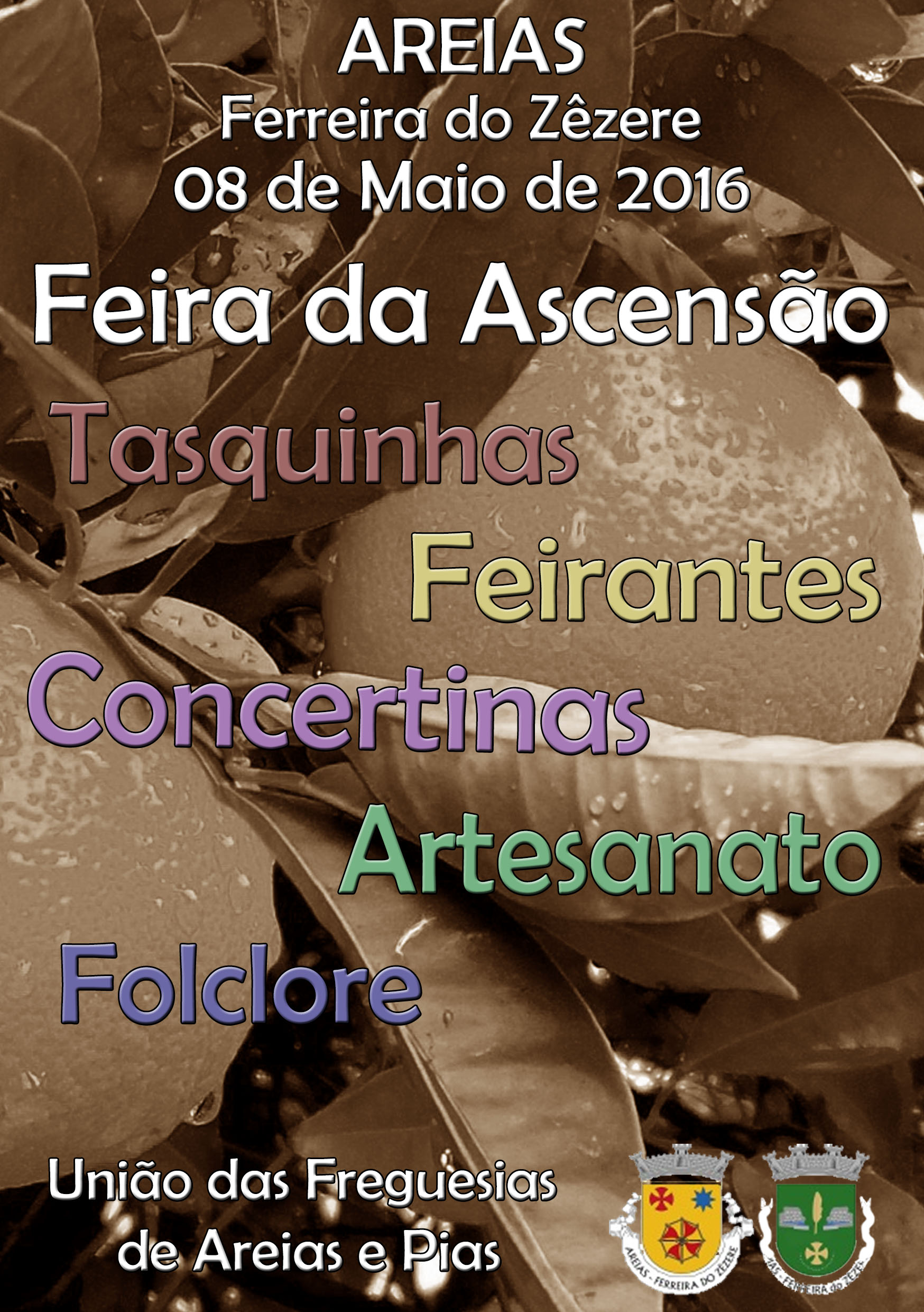 ascensao