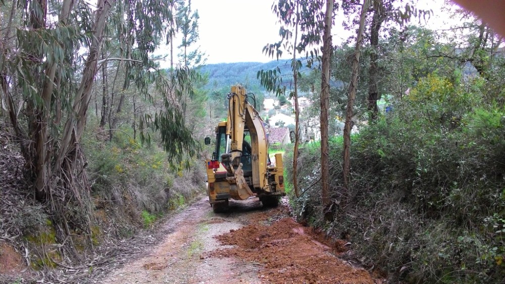 bijota 10