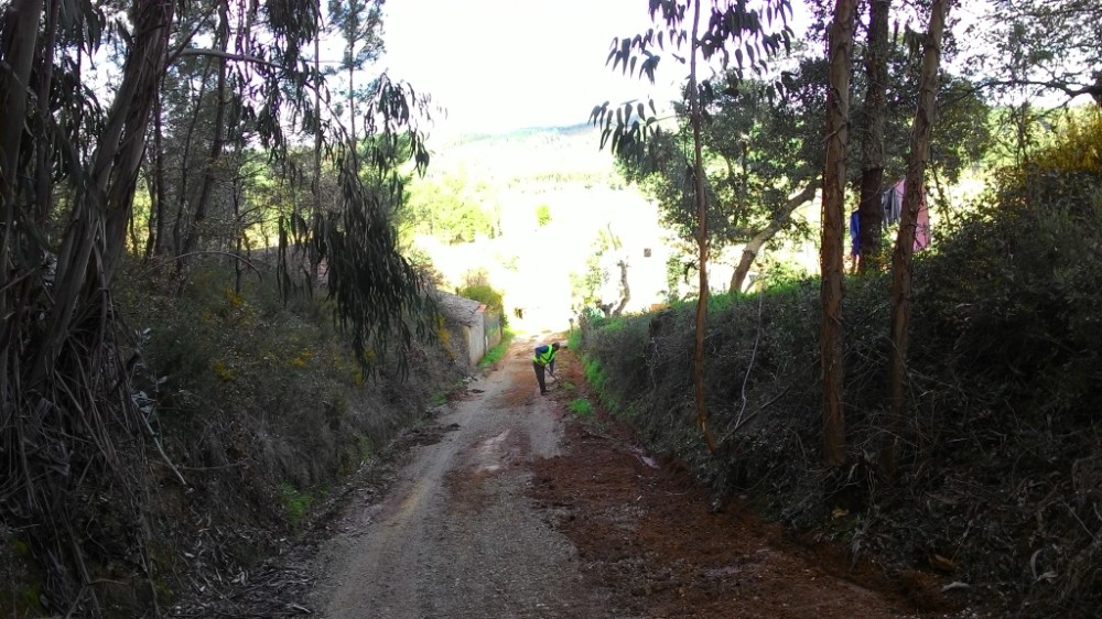 bijota 2