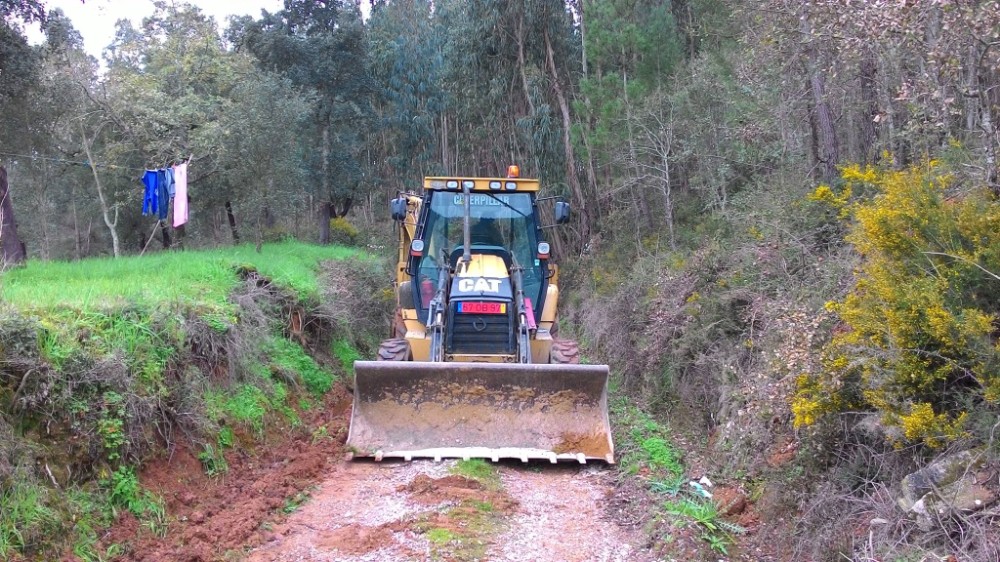 bijota 3