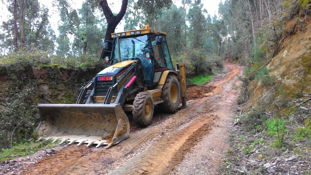 bijota 7