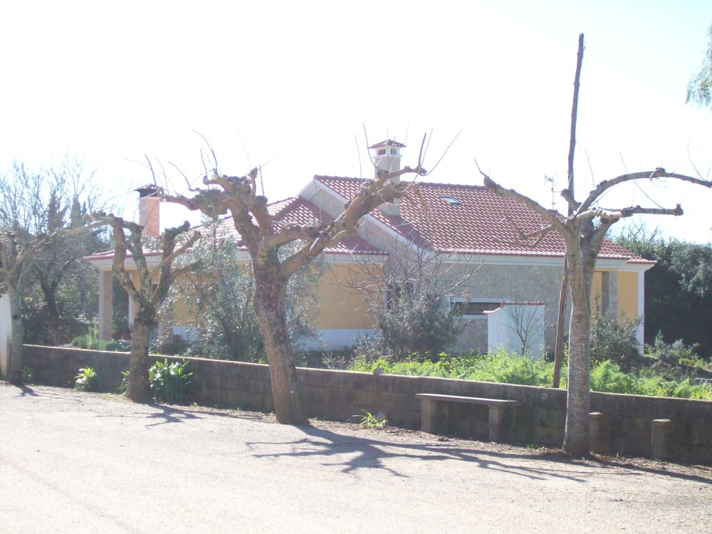 parvores 13