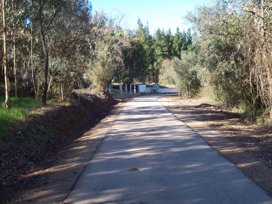 ppinheiro 16
