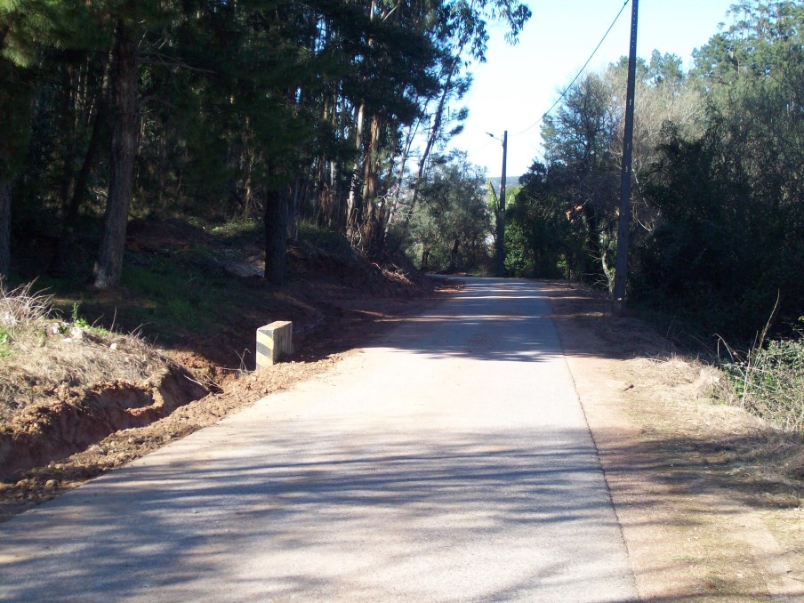 ppinheiro 17
