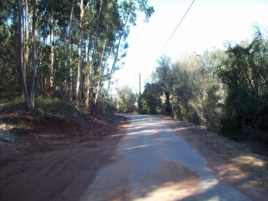 ppinheiro 19