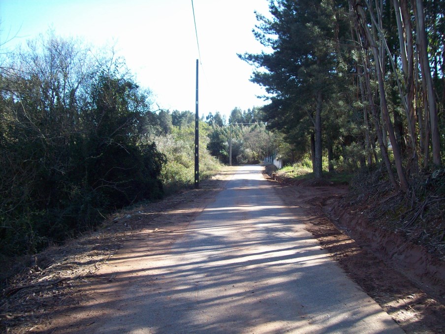 ppinheiro 21