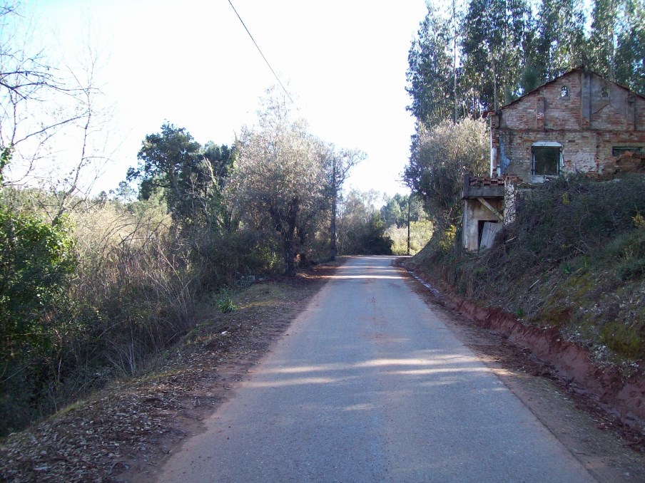 ppinheiro 22