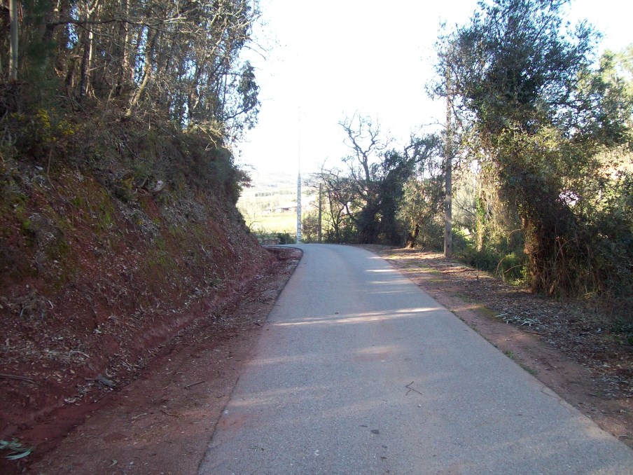 ppinheiro 24