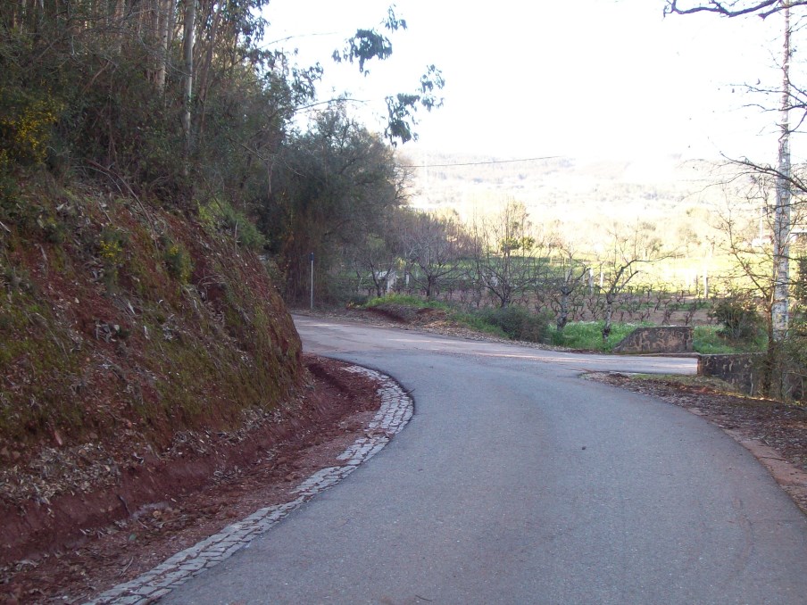 ppinheiro 26