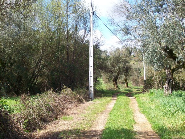 rcirios 4