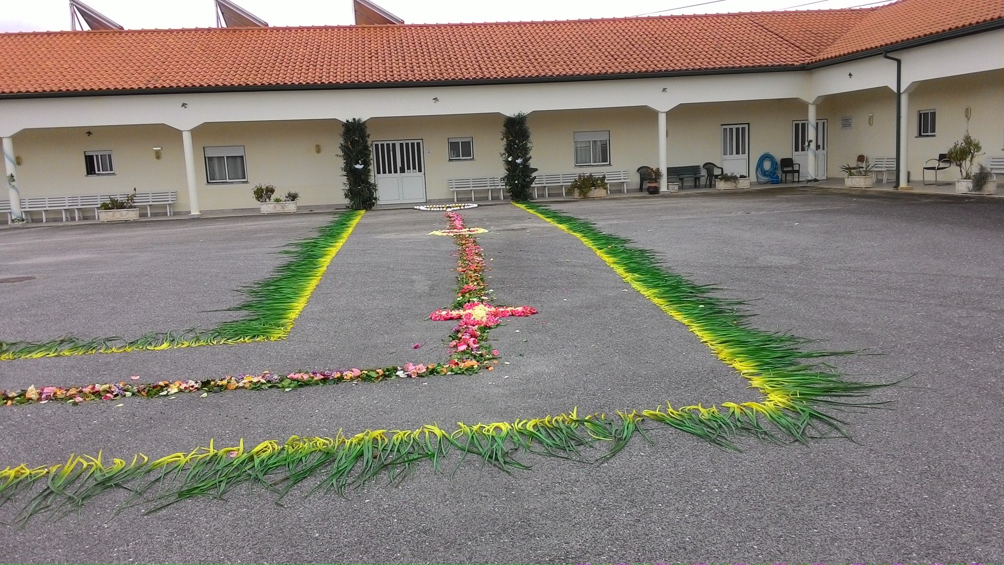 vbispoareias 3