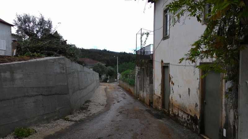 rsamaro2
